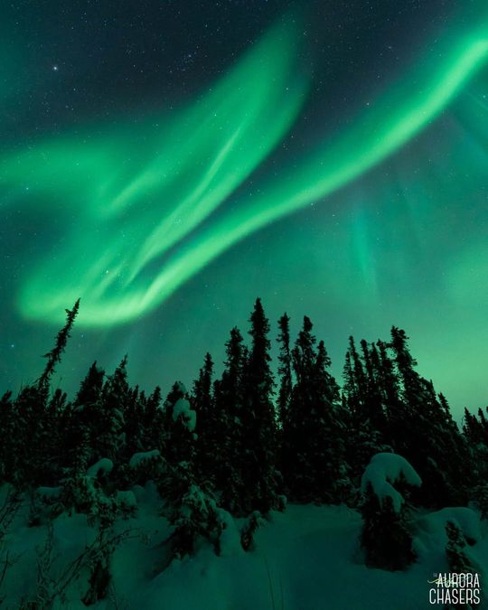 magazine detail image