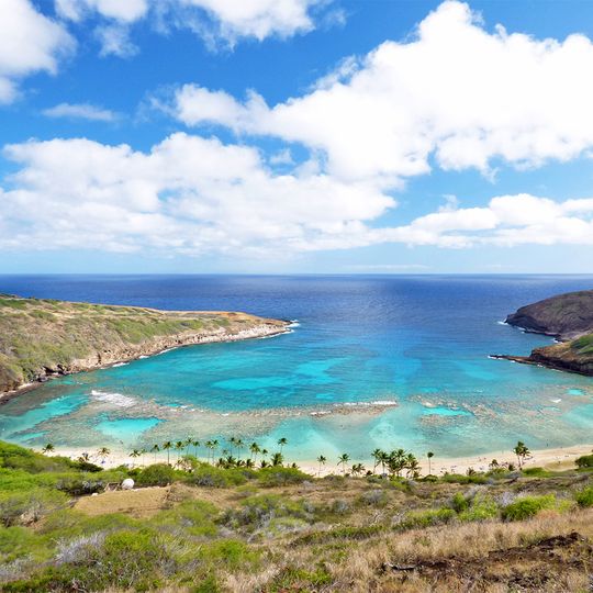 magazine detail image