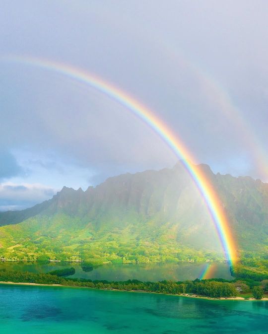 magazine detail image