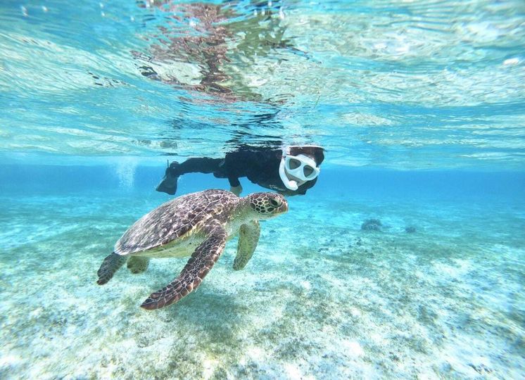 magazine detail image