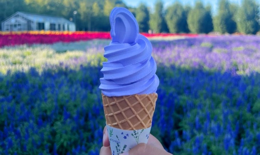 magazine detail image