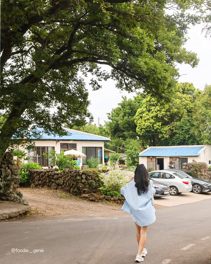정해진 시간 동안, 제주 올패스
