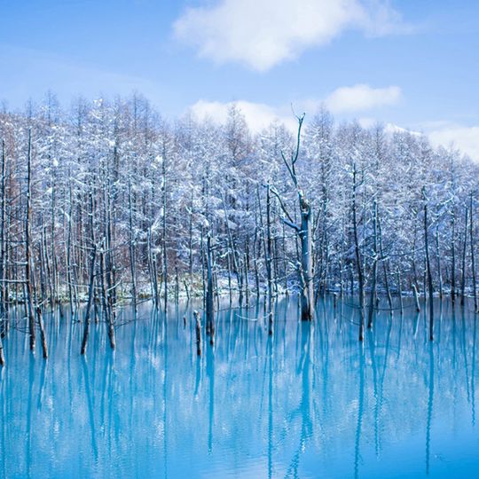 magazine detail image