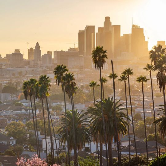 magazine detail image