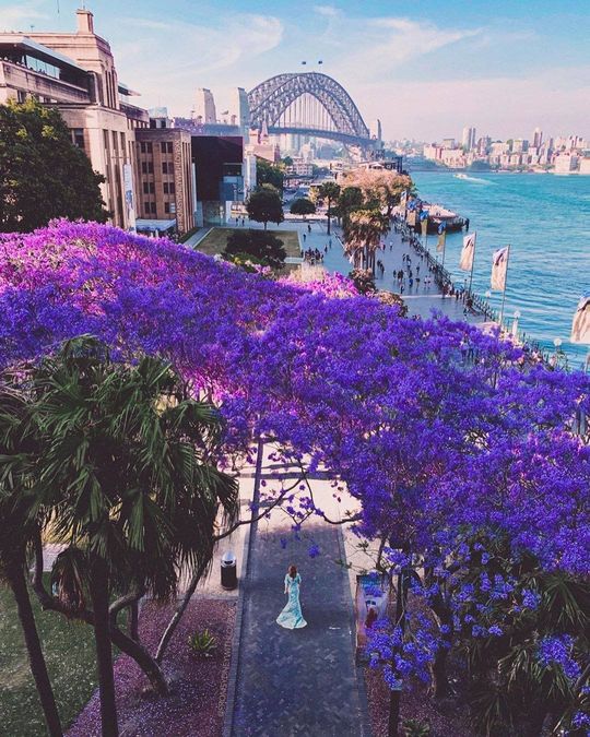 magazine detail image