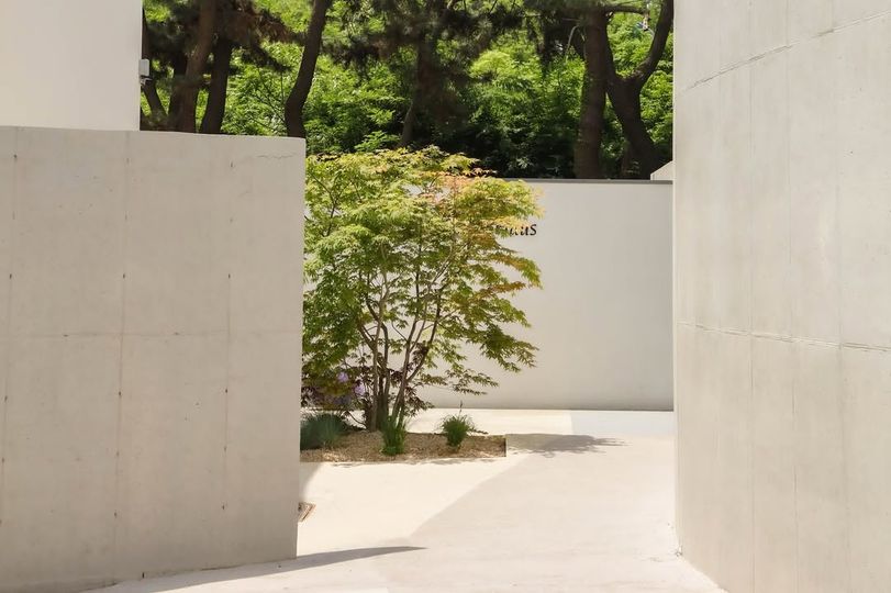 magazine detail image