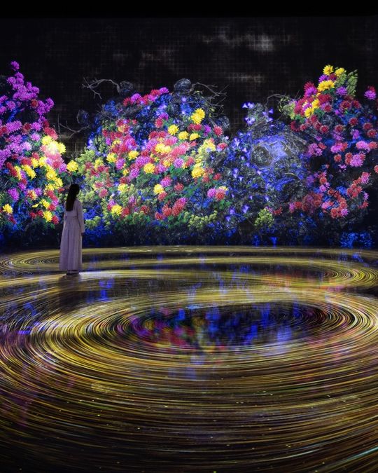 magazine detail image