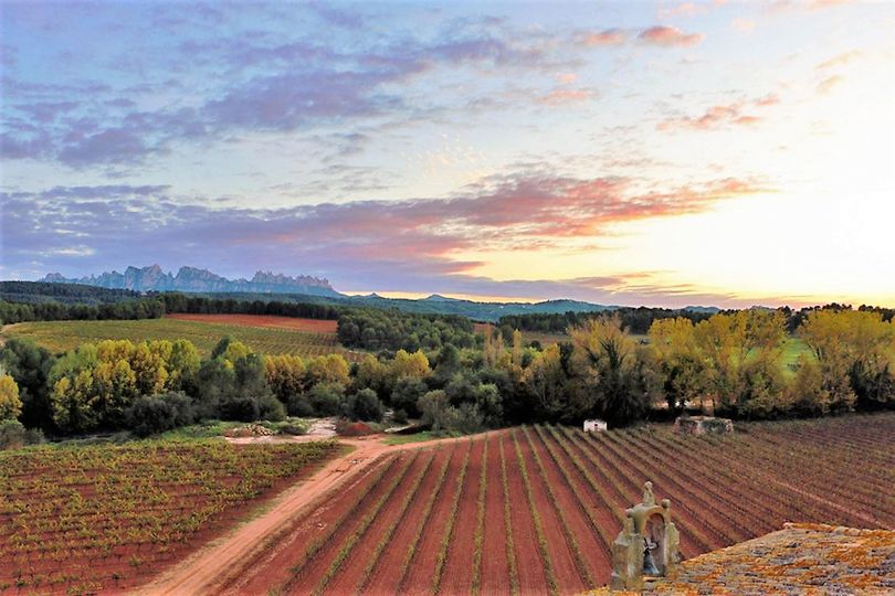 magazine detail image