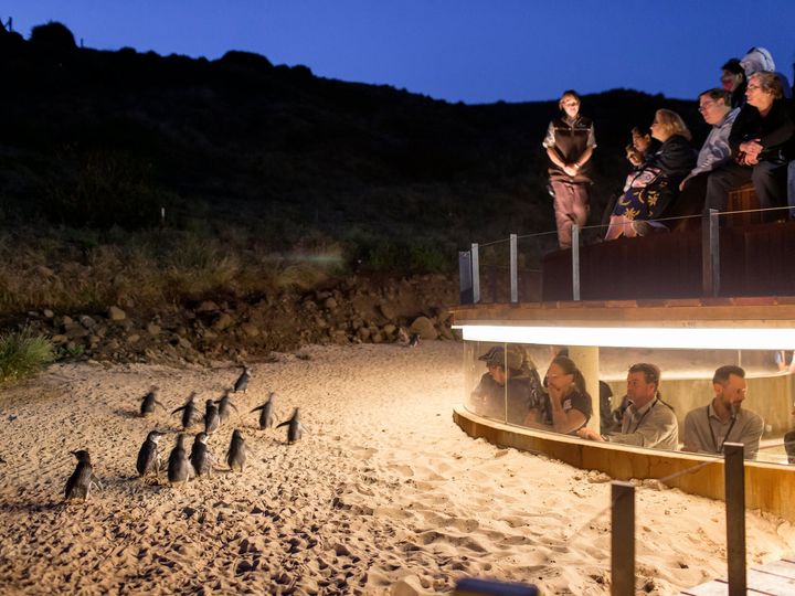 magazine detail image