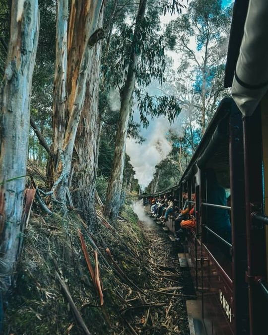 magazine detail image