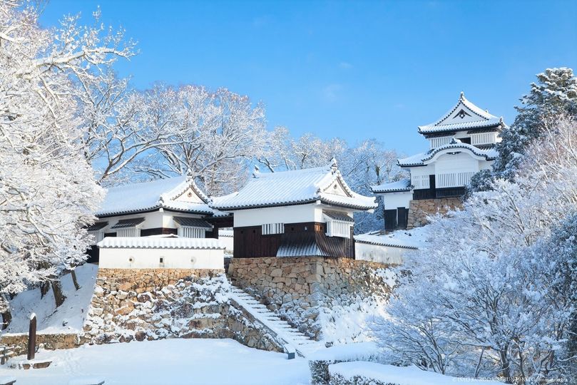 magazine detail image