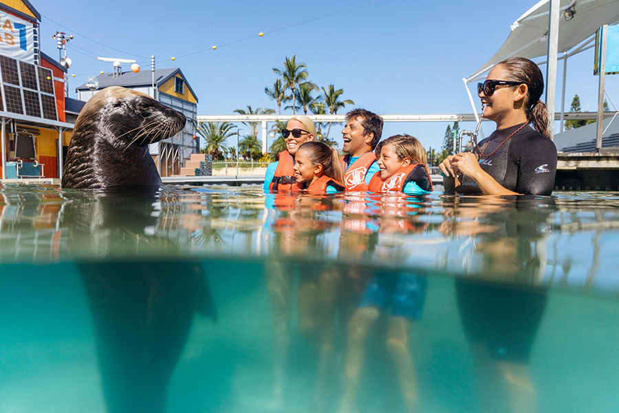 magazine detail image