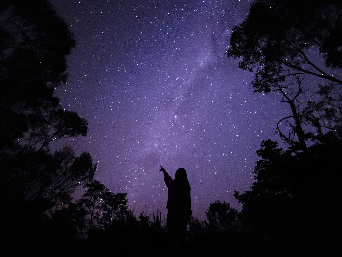 magazine detail image