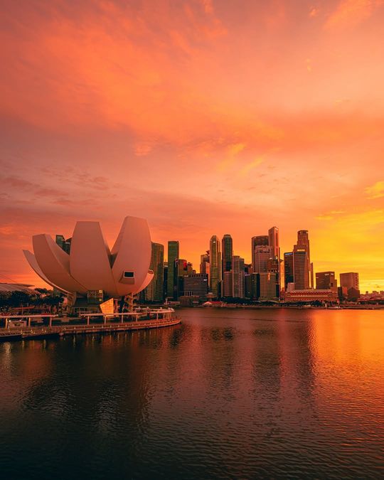 magazine detail image