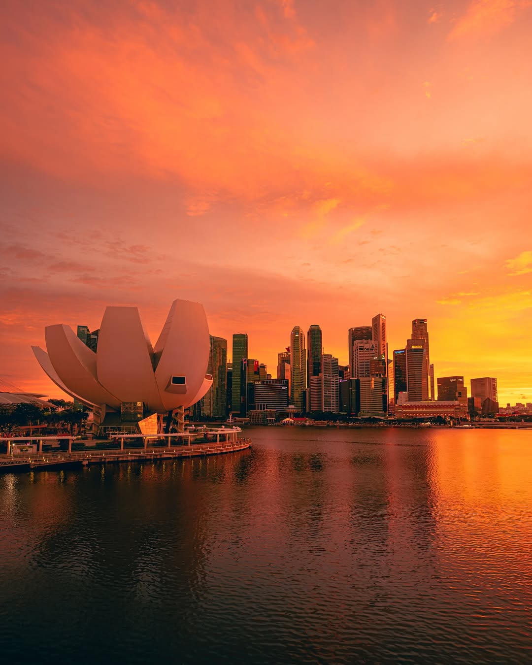 magazine detail image