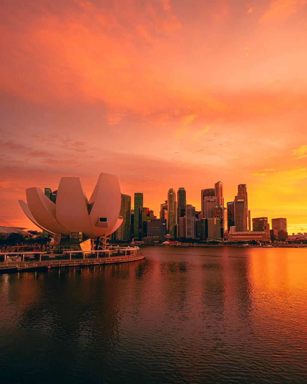 シンガポールの美術館・博物館おすすめスポット