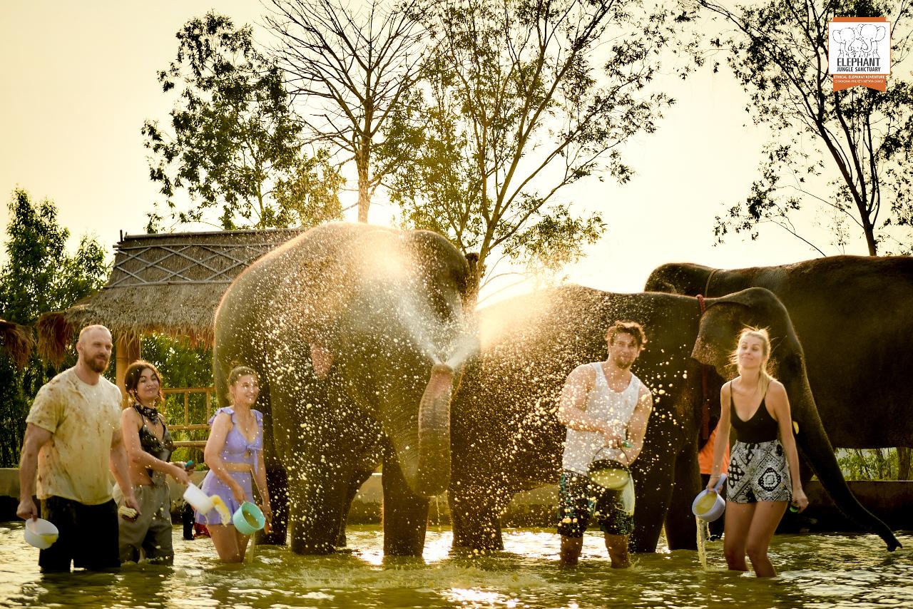 치앙마이에서 코끼리와의 특별한 만남