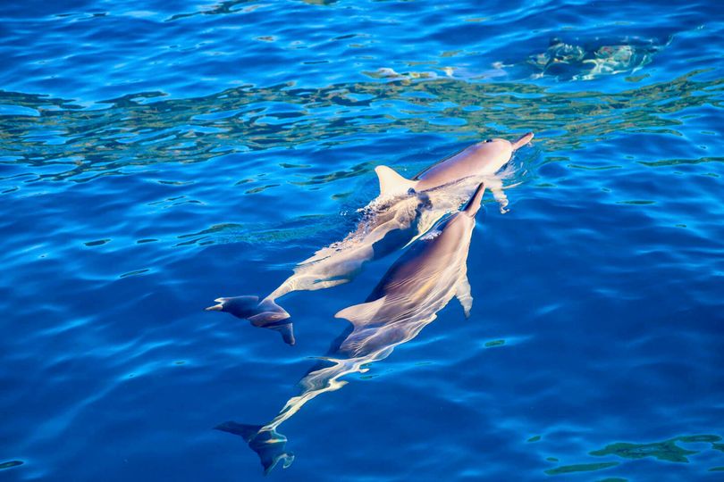 magazine detail image