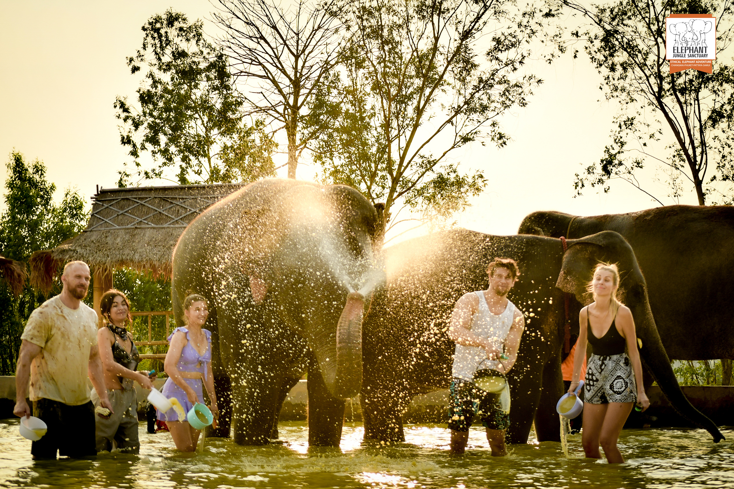 magazine detail image