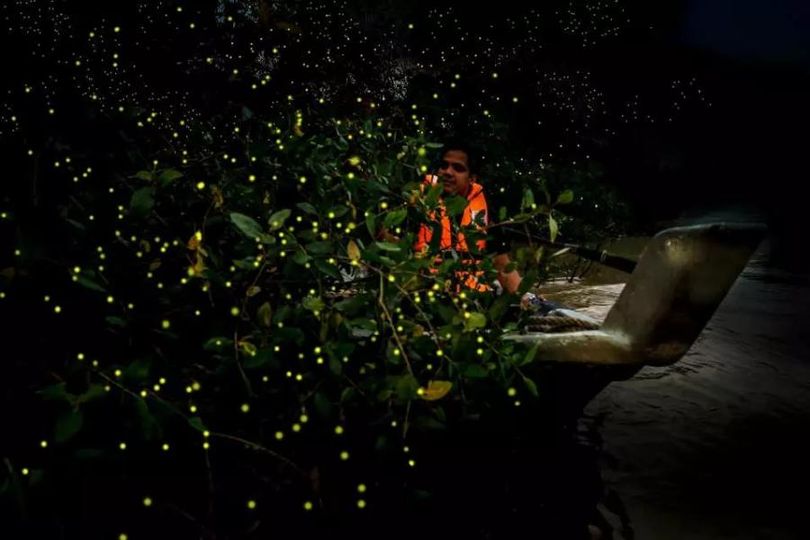 magazine detail image