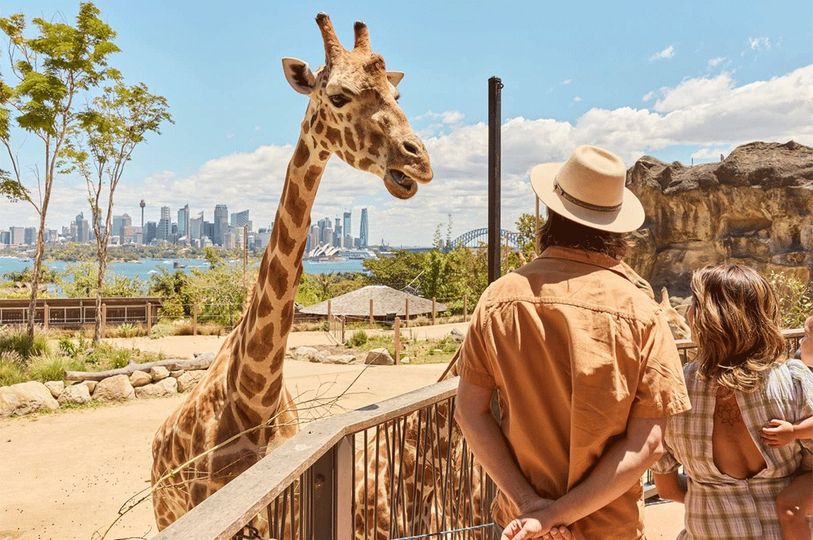 magazine detail image