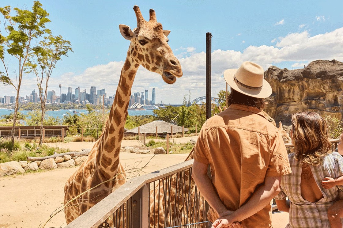 magazine detail image