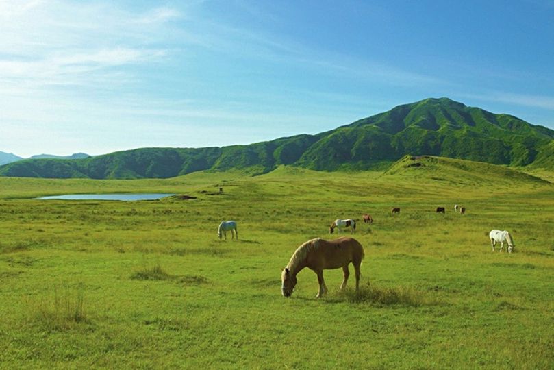 magazine detail image