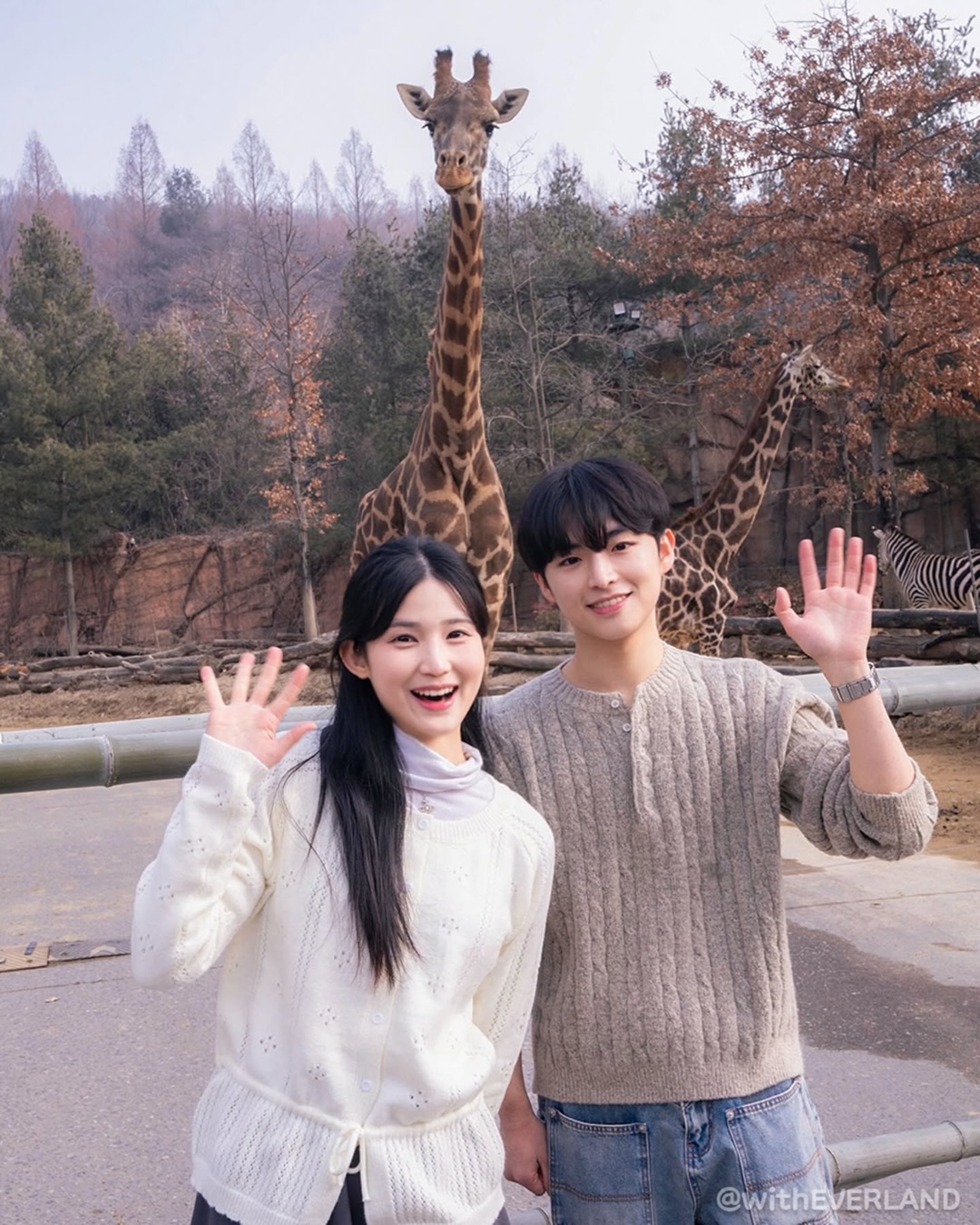 magazine detail image