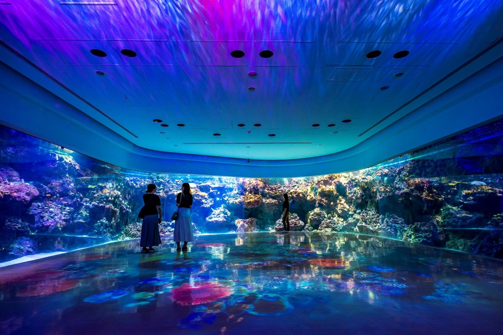 Xpark(エックスパーク) - 台湾に誕生した革新的な水族館