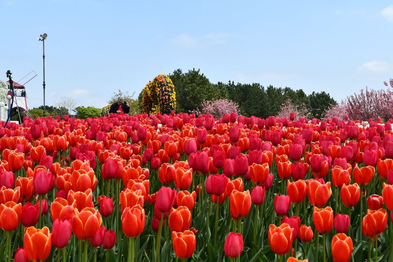 magazine detail image