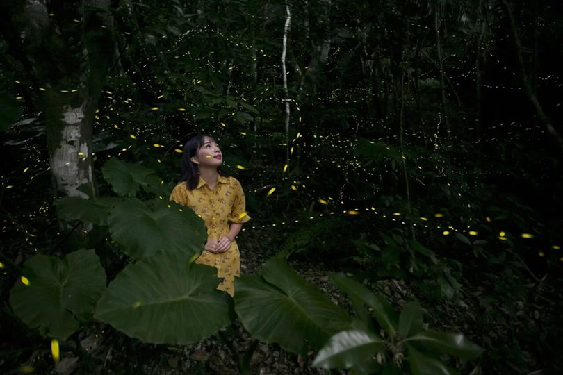 magazine detail image