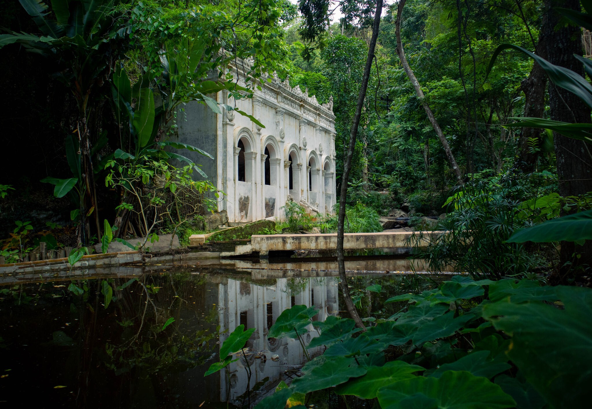 magazine detail image