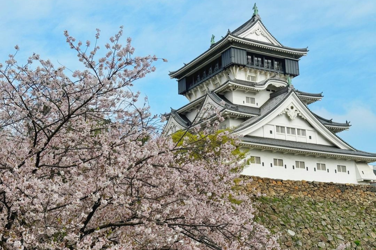 magazine detail image