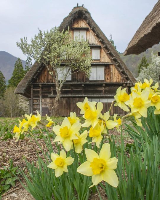 magazine detail image