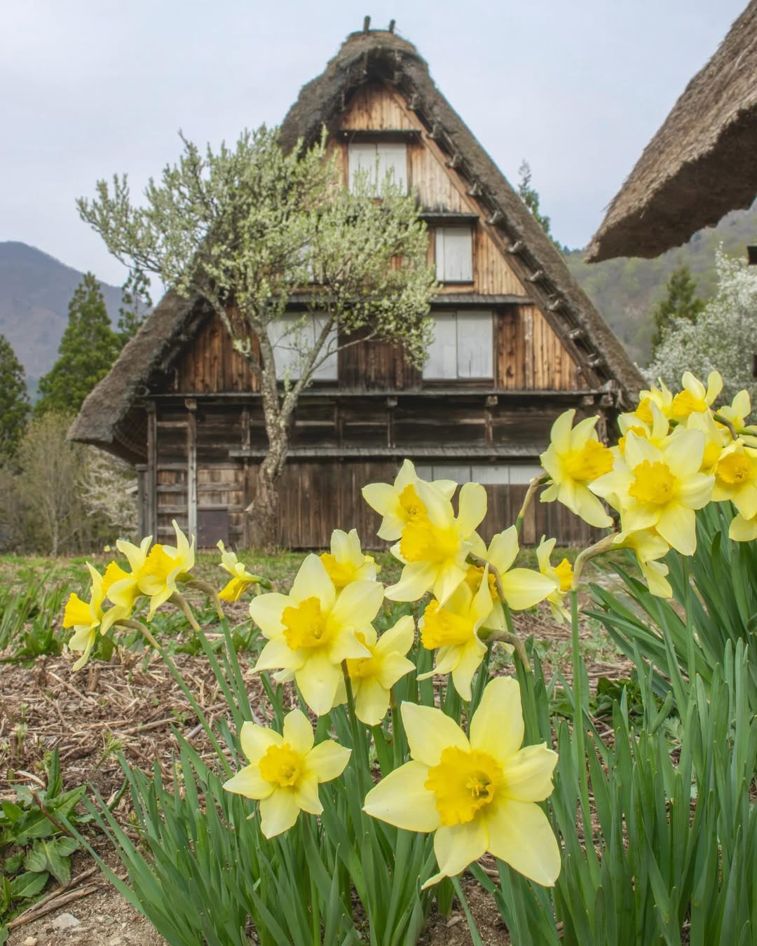 magazine detail image