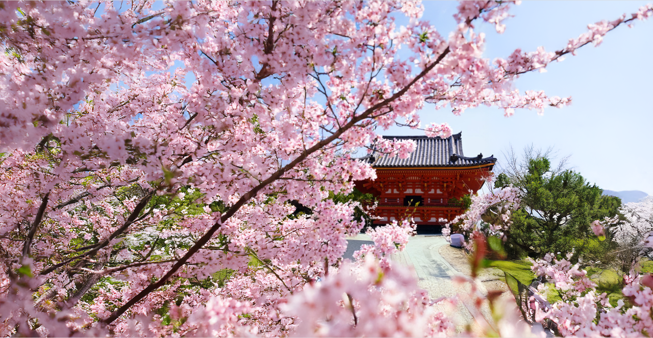 Osaka & Kyoto Travel Guide: The Keihan Pass