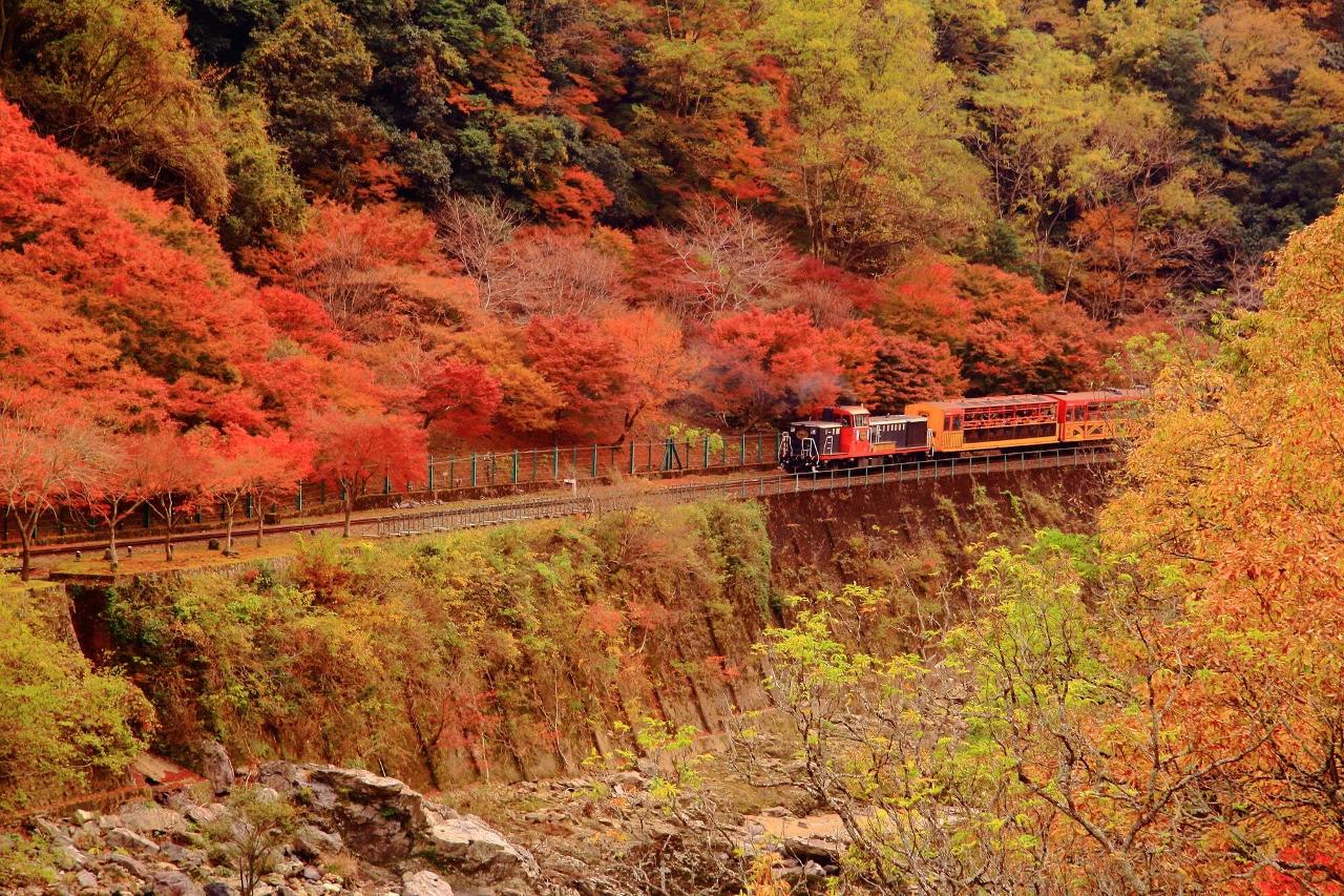 Kyoto Autumn Colors: Meet Them on the Sagano Romantic Train