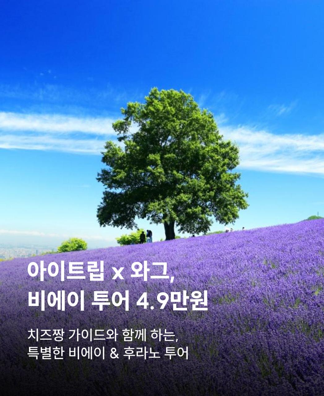 삿포로버스투어_KO