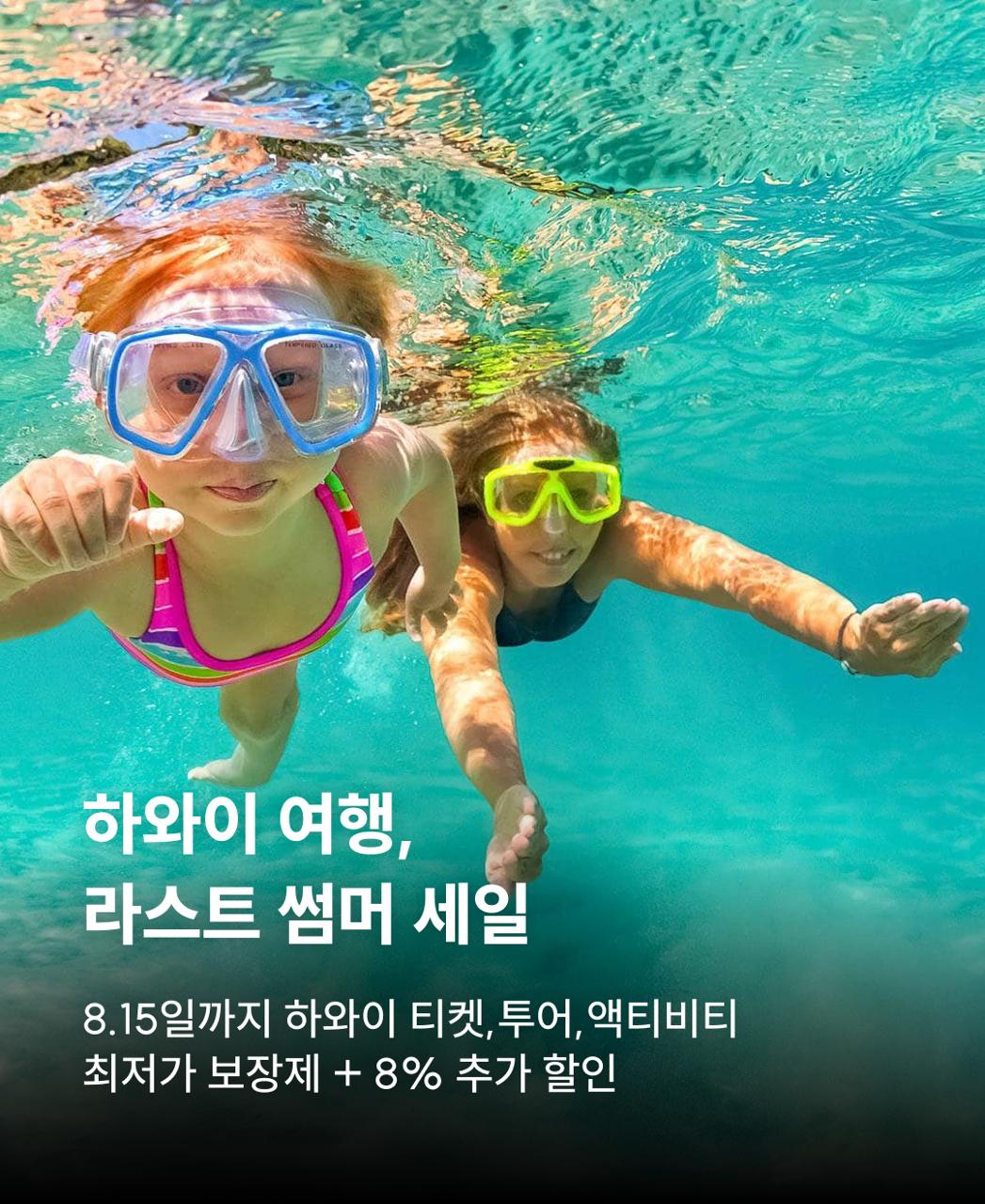 하와이라스트썸머세일