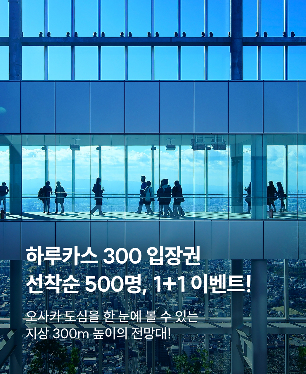 하루카스300 1+1 프로모션