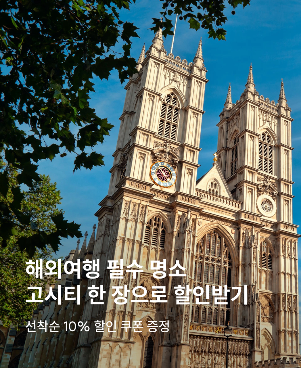 고시티 프로모션