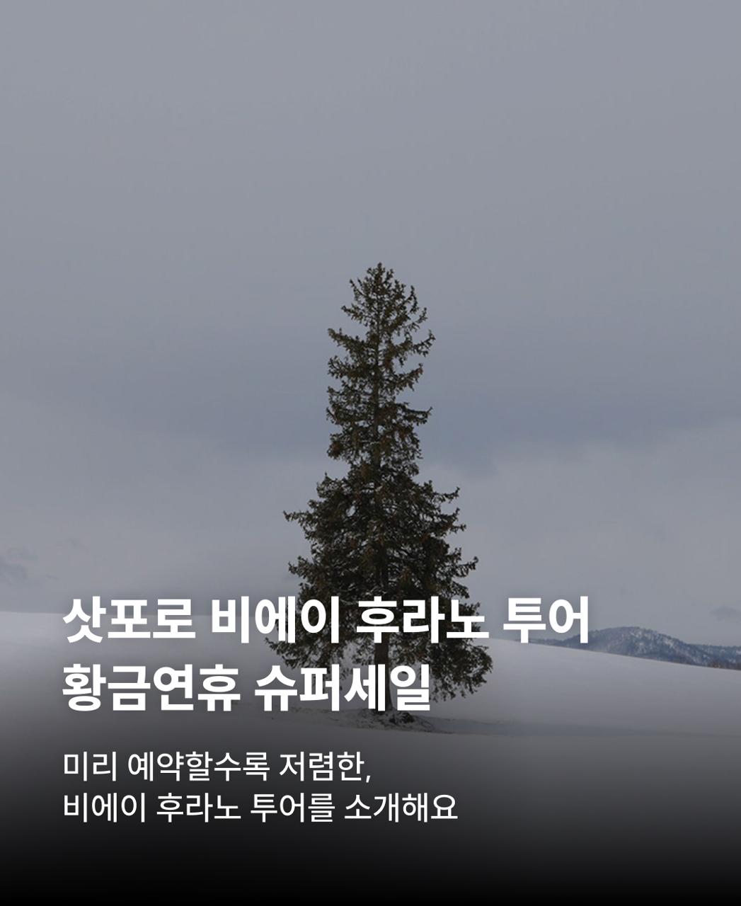 삿포로버스투어