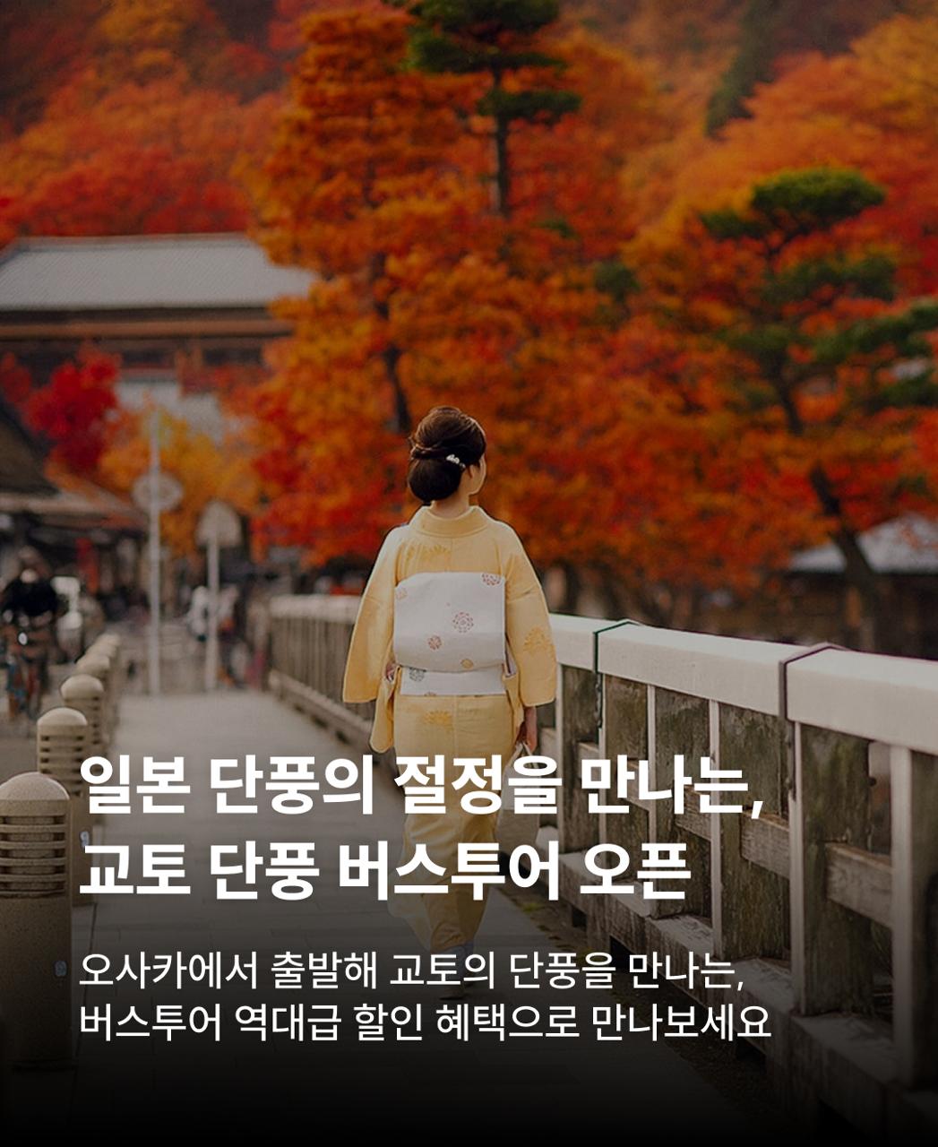 교토 단풍 버스투어 오픈