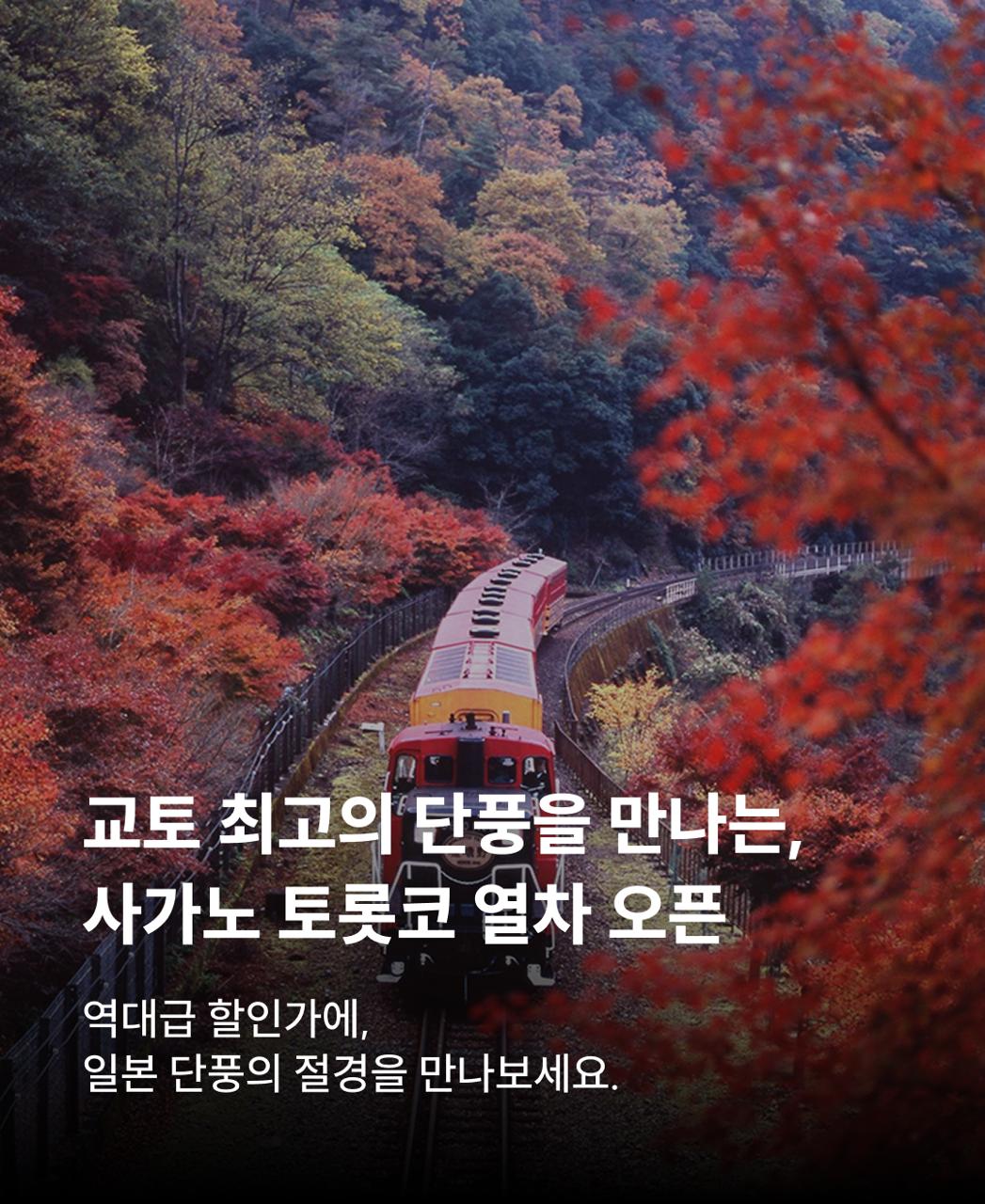 교토단풍열차
