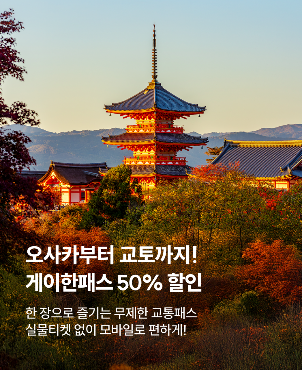 게이한패스 50% 프로모션