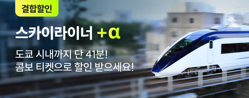 도쿄_결합_스카이라이너