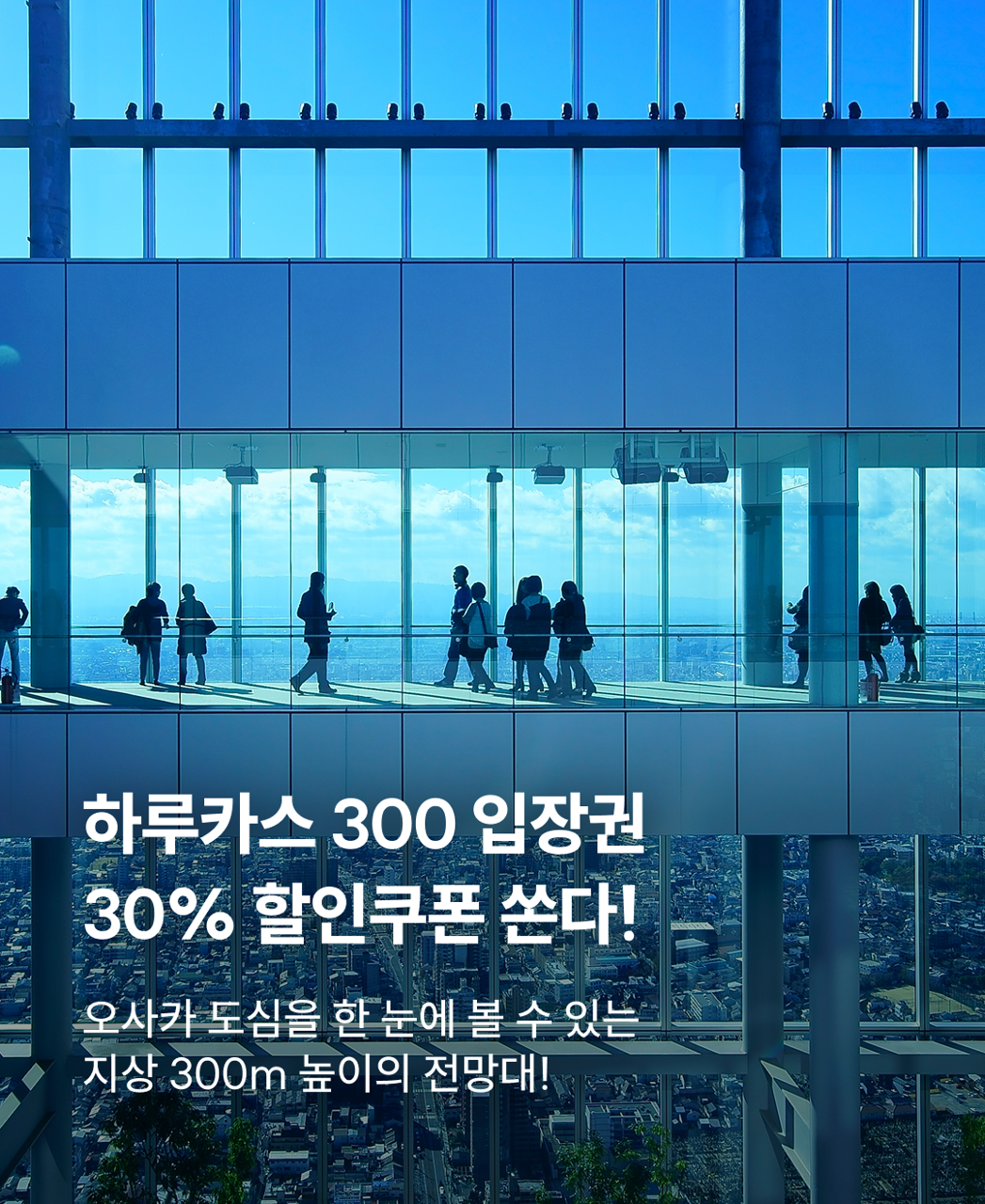 하루카스300 30%