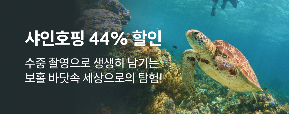 보홀샤인호핑_띠배너