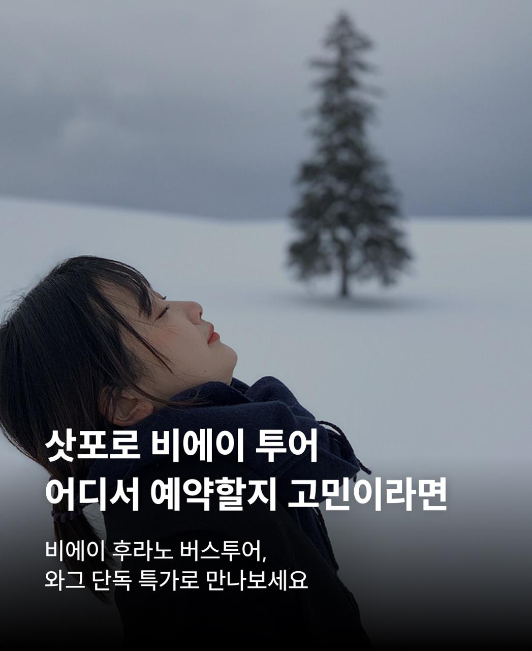 삿포로 비에이 투어