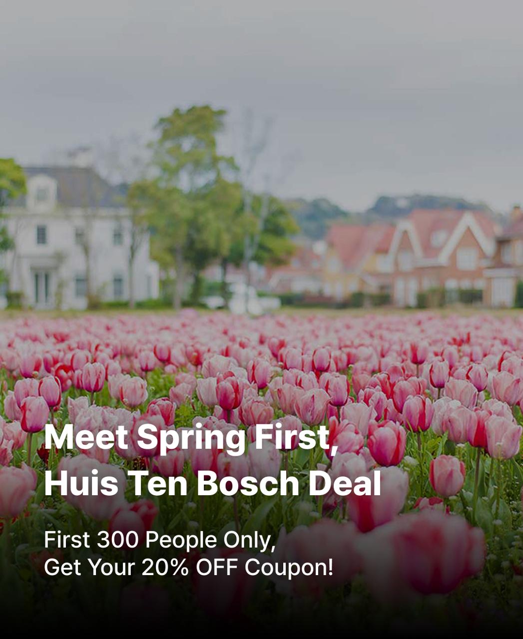 Huis Ten Bosch Special Discount